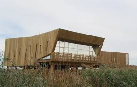 Observação de Aves